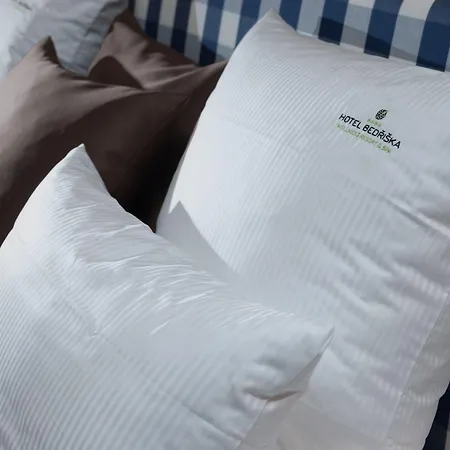 מלון Bedriska Wellness & Špindlerŭv Mlýn