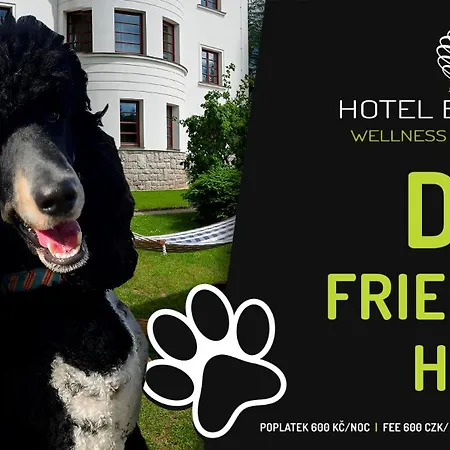 Bedriska Wellness & 4* Špindlerŭv Mlýn